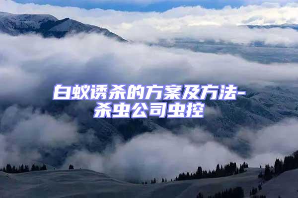 白蟻誘殺的方案及方法-殺蟲公司蟲控