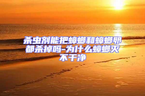 殺蟲(chóng)劑能把蟑螂和蟑螂卵都?xì)⒌魡?為什么蟑螂滅不干凈