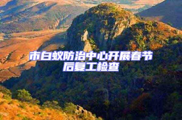 市白蟻防治中心開展春節后復工檢查