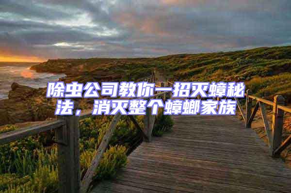 除蟲公司教你一招滅蟑秘法，消滅整個蟑螂家族