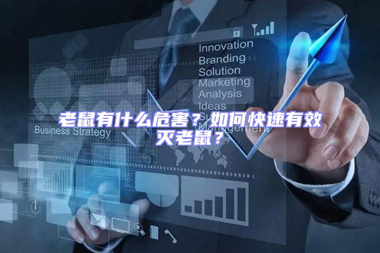 老鼠有什么危害？如何快速有效滅老鼠？