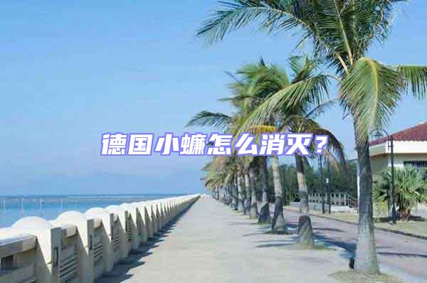 德國小蠊怎么消滅？
