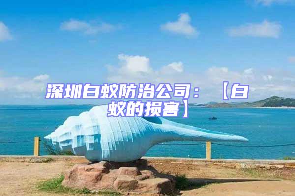 深圳白蟻防治公司：【白蟻的損害】