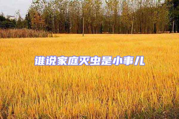 誰說家庭滅蟲是小事兒