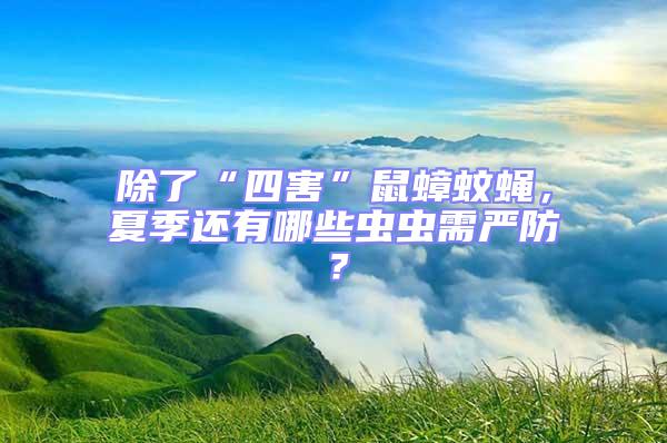 除了“四害”鼠蟑蚊蠅，夏季還有哪些蟲蟲需嚴(yán)防？