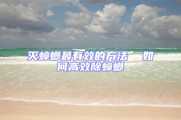 滅蟑螂最有效的方法  如何高效除蟑螂