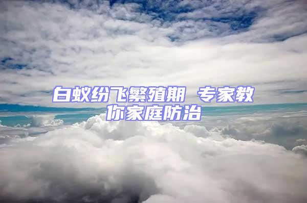 白蟻紛飛繁殖期 專家教你家庭防治