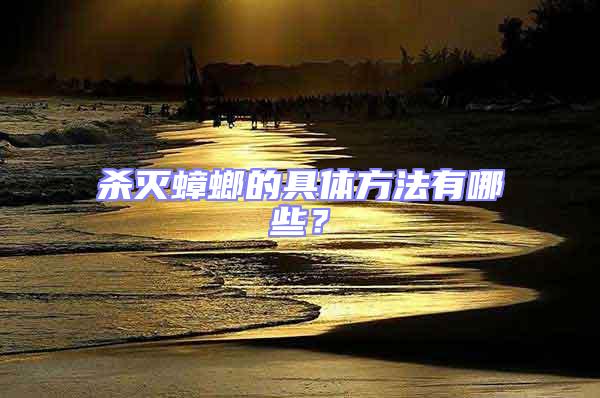 殺滅蟑螂的具體方法有哪些？