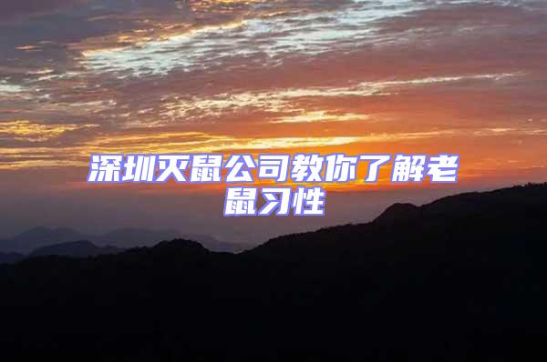 深圳滅鼠公司教你了解老鼠習(xí)性