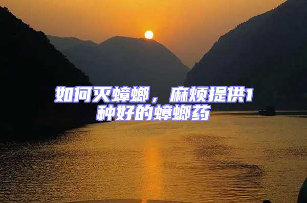 如何滅蟑螂，麻煩提供1種好的蟑螂藥