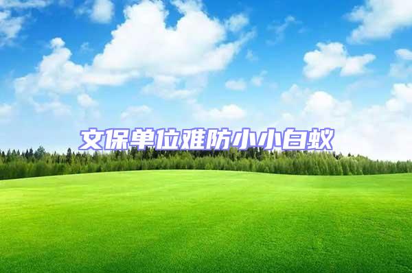 文保單位難防小小白蟻