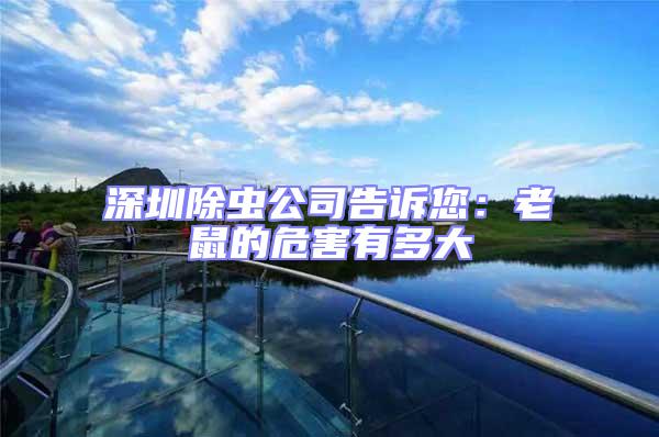 深圳除蟲公司告訴您：老鼠的危害有多大
