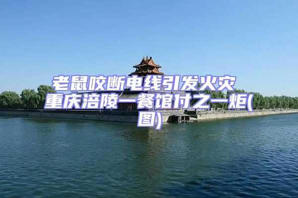 老鼠咬斷電線引發(fā)火災(zāi) 重慶涪陵一餐館付之一炬(圖)