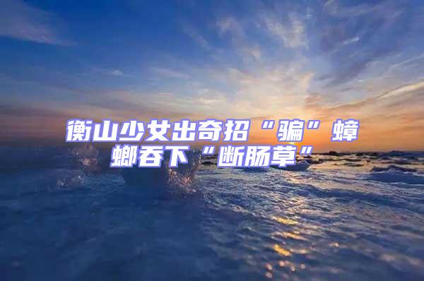 衡山少女出奇招“騙”蟑螂吞下“斷腸草”
