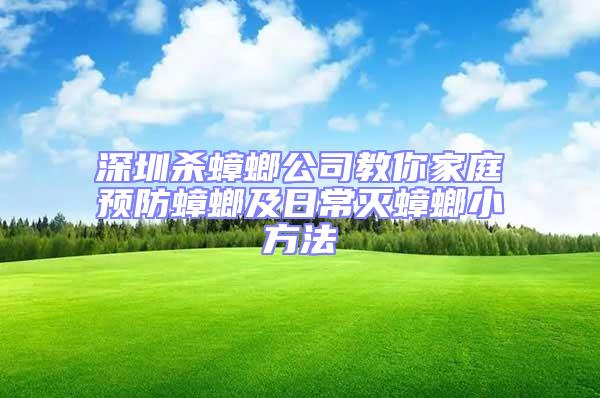 深圳殺蟑螂公司教你家庭預防蟑螂及日常滅蟑螂小方法