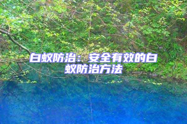 白蟻防治：安全有效的白蟻防治方法