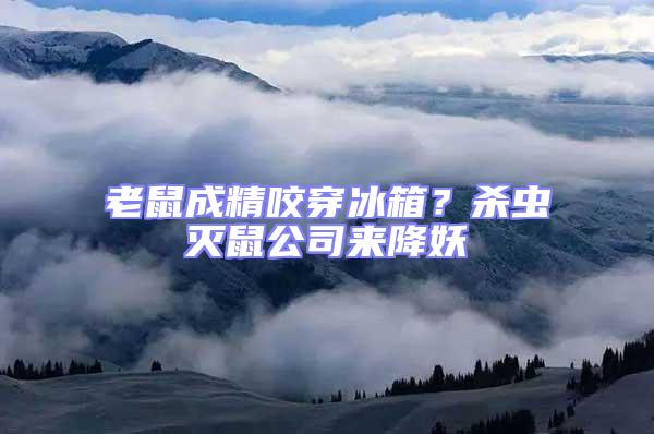 老鼠成精咬穿冰箱？殺蟲滅鼠公司來降妖