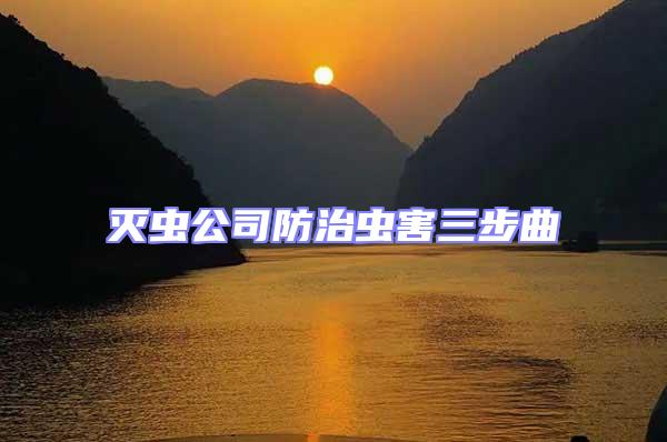 滅蟲公司防治蟲害三步曲