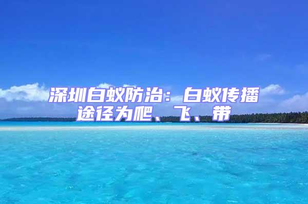 深圳白蟻防治：白蟻傳播途徑為爬、飛、帶