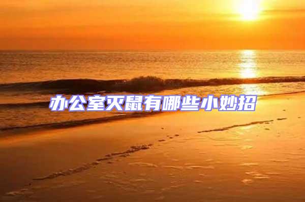 辦公室滅鼠有哪些小妙招