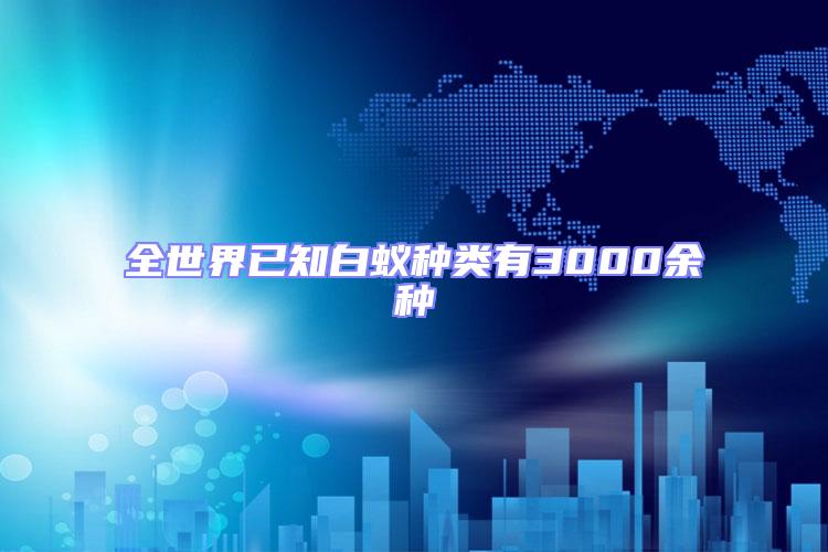 全世界已知白蟻種類有3000余種