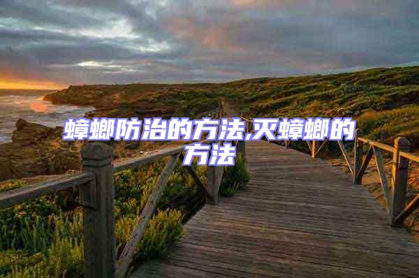 蟑螂防治的方法,滅蟑螂的方法