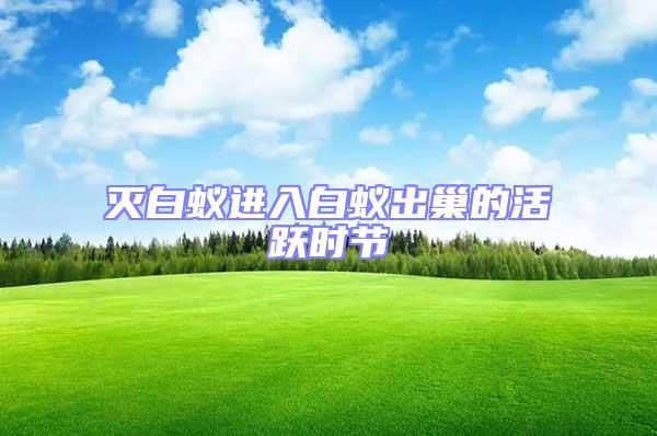 滅白蟻進入白蟻出巢的活躍時節