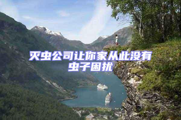 滅蟲公司讓你家從此沒有蟲子困擾