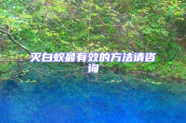 滅白蟻最有效的方法請咨詢