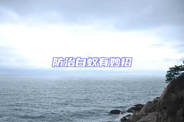 防治白蟻有妙招