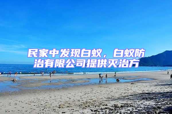 民家中發現白蟻，白蟻防治有限公司提供滅治方