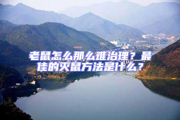老鼠怎么那么難治理？最佳的滅鼠方法是什么？