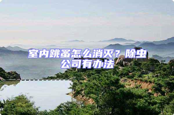 室內跳蚤怎么消滅？除蟲公司有辦法