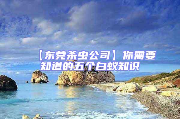 【東莞殺蟲公司】你需要知道的五個白蟻知識