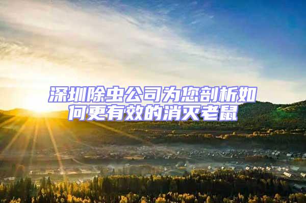 深圳除蟲公司為您剖析如何更有效的消滅老鼠