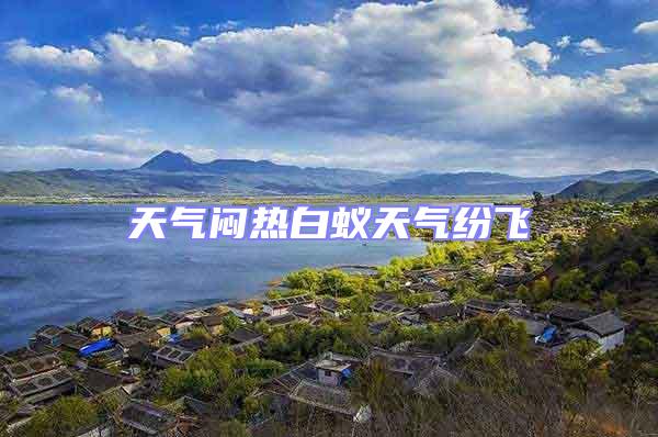 天氣悶熱白蟻天氣紛飛