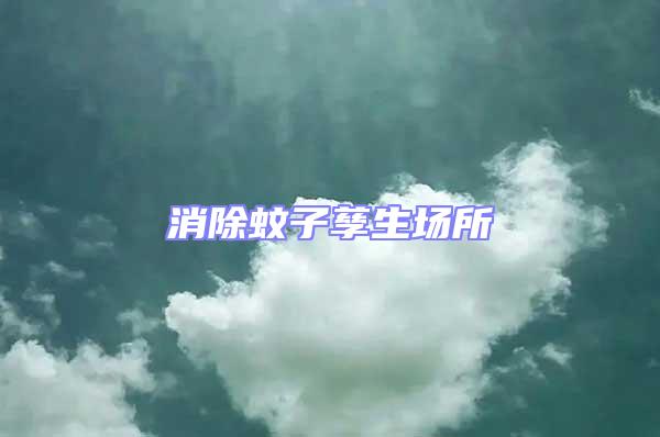 消除蚊子孳生場所