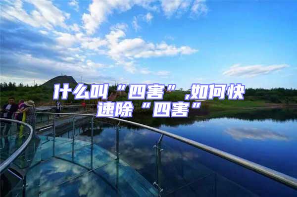 什么叫“四害”,如何快速除“四害”