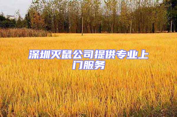 深圳滅鼠公司提供專業上門服務