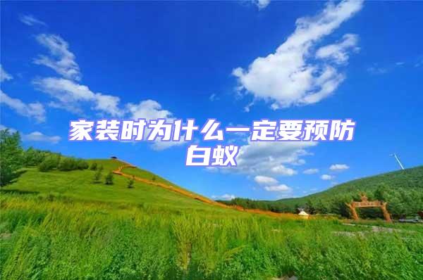 家裝時為什么一定要預防白蟻