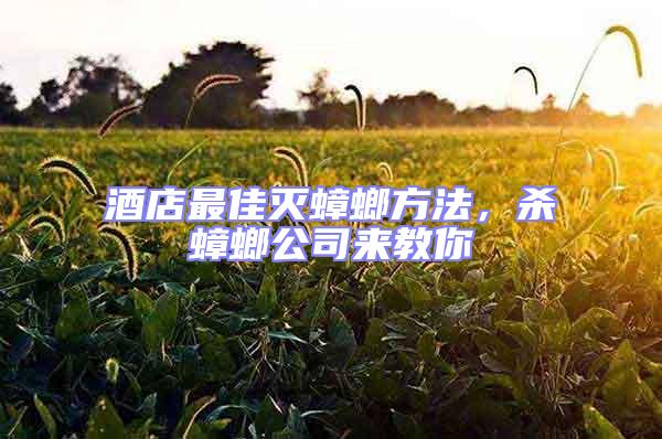 酒店最佳滅蟑螂方法，殺蟑螂公司來教你