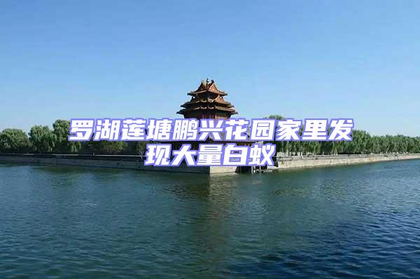 羅湖蓮塘鵬興花園家里發現大量白蟻