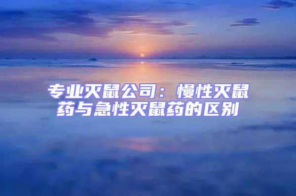 專業滅鼠公司：慢性滅鼠藥與急性滅鼠藥的區別