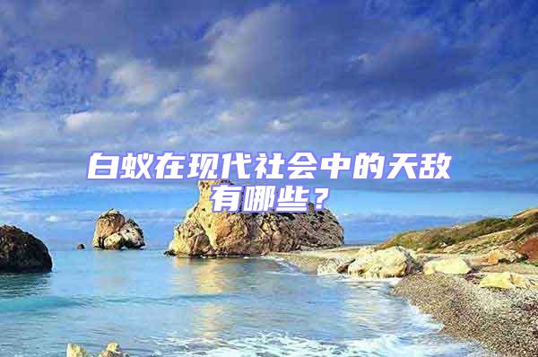 白蟻在現(xiàn)代社會(huì)中的天敵有哪些？
