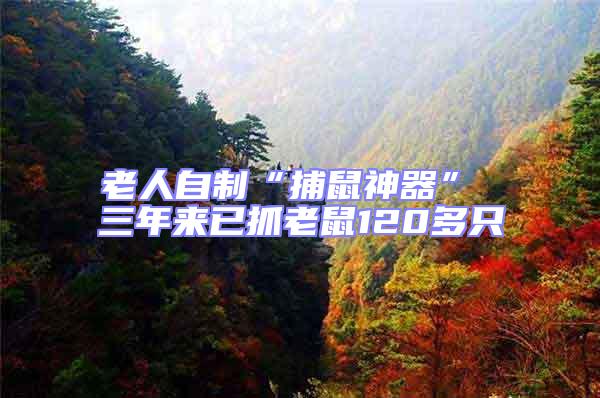 老人自制“捕鼠神器” 三年來已抓老鼠120多只