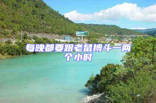 每晚都要跟老鼠搏斗一兩個(gè)小時(shí)