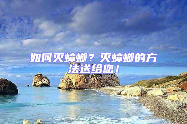 如何滅蟑螂？滅蟑螂的方法送給您！