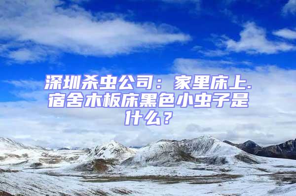 深圳殺蟲(chóng)公司：家里床上.宿舍木板床黑色小蟲(chóng)子是什么？
