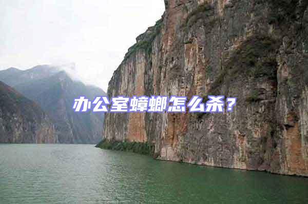 辦公室蟑螂怎么殺？