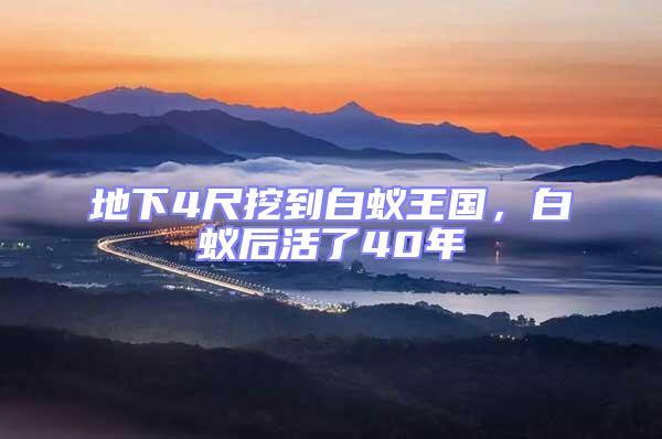 地下4尺挖到白蟻王國，白蟻后活了40年
